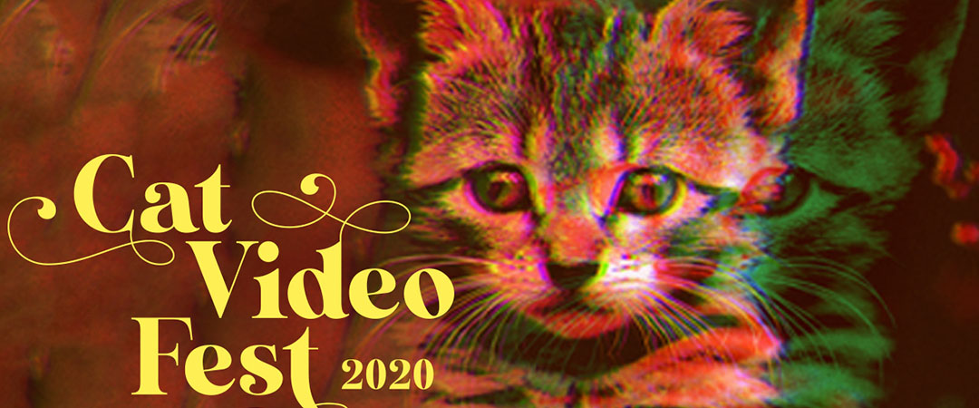 Cat Video Fest 2020.jpg